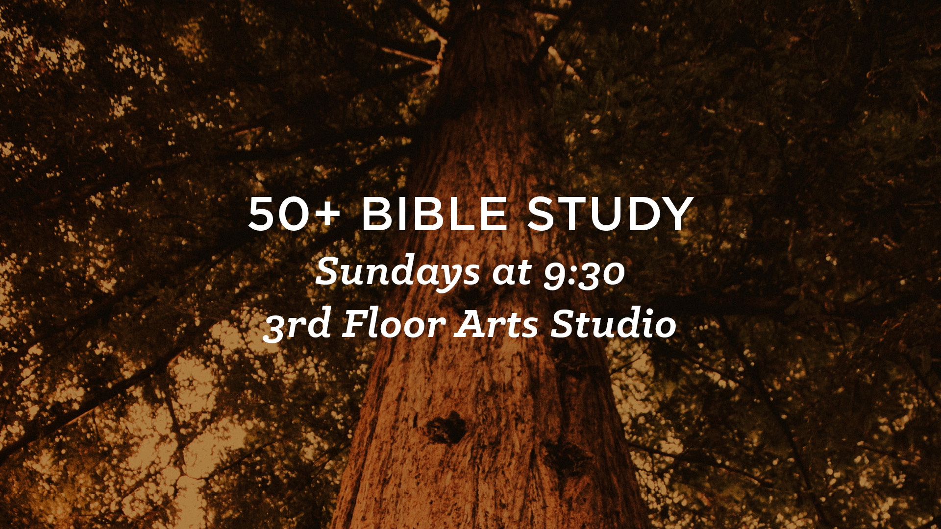 50+ Bible Study