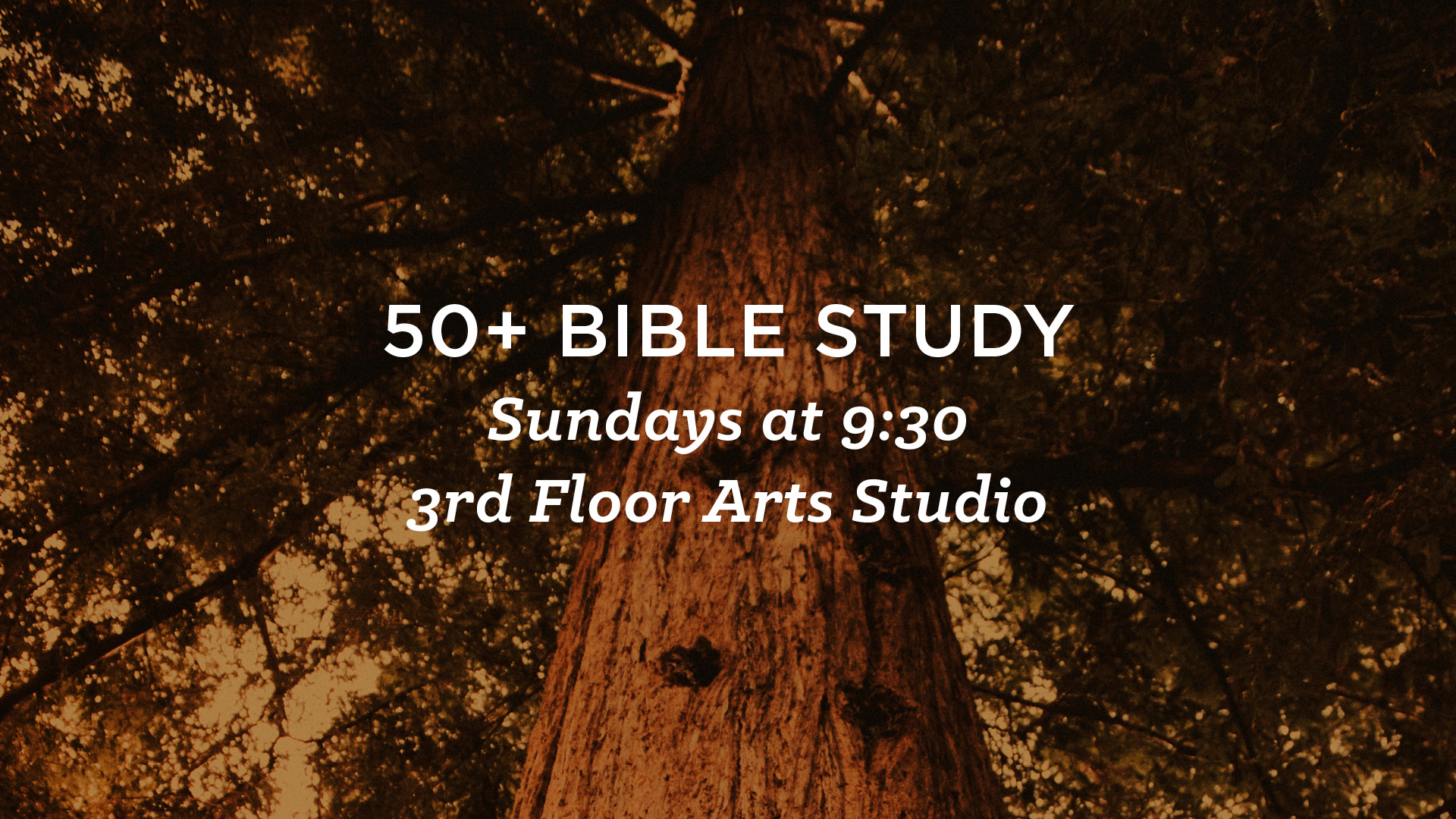 50+ Bible Study